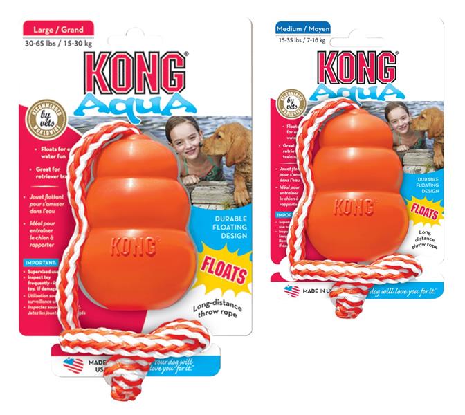 KONG Aqua Gruppe.jpg